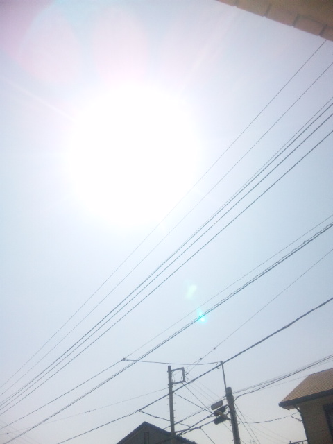 ウェットスーツラボ×昼飯