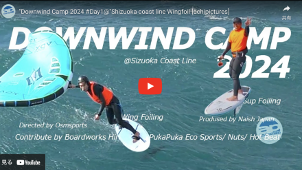 ウイングフォイル